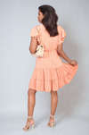 ikrush-izabella-ruffle-sleeve-tiered-mini-dress-1711542723-DSC3908.png